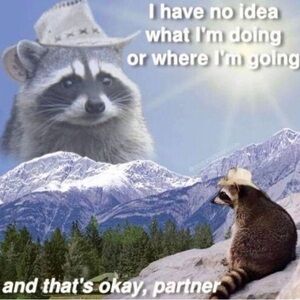 Meet your Posher, Bay